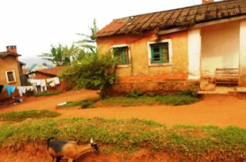 Article : RDC : Des bâtisses laissées par des Belges ne sont que l’ombre d’elles-mêmes