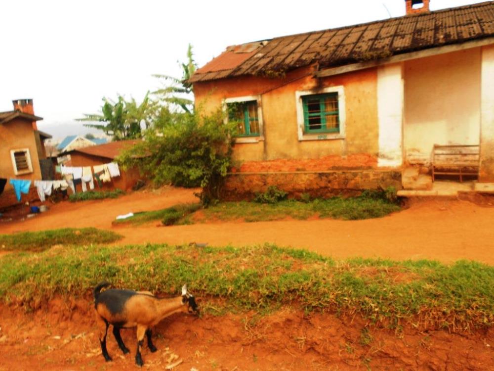 Article : RDC : Des bâtisses laissées par des Belges ne sont que l’ombre d’elles-mêmes
